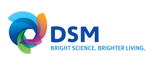 DSM Support